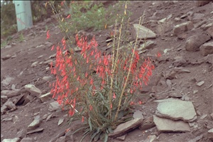 IMG0019.jpg