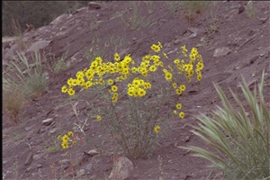 IMG0020.jpg
