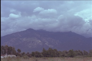 IMG0021.jpg