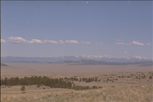 IMG0022.jpg