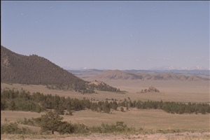 IMG0024.jpg