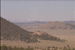 IMG0025.jpg