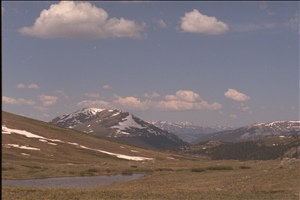 IMG0026.jpg