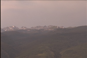 IMG0029.jpg