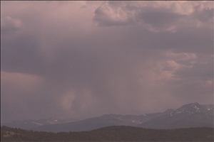 IMG0031.jpg
