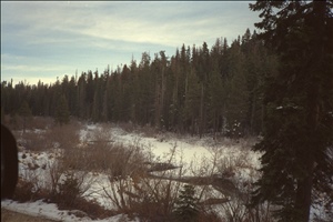 IMG0035.jpg