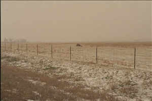 IMG0038.jpg