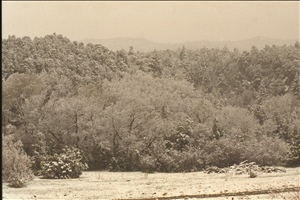 IMG0040.jpg