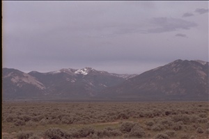 IMG0042.jpg