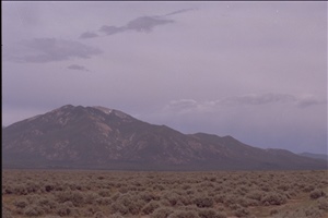 IMG0044.jpg