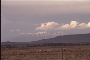 IMG0046.jpg