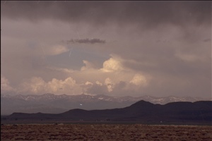 IMG0047.jpg