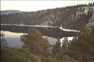IMG0050.jpg
