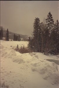 IMG0056.jpg