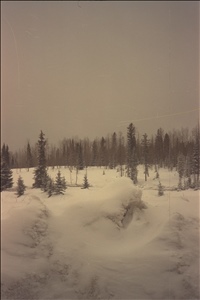 IMG0057.jpg
