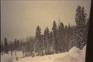 IMG0058.jpg