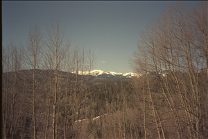 IMG0059.jpg