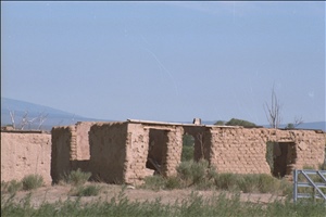 IMG0061.jpg