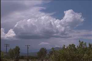 IMG0062.jpg