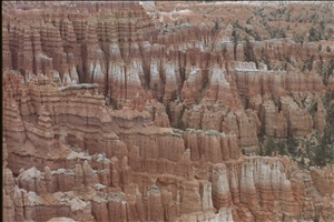 IMG0064.jpg