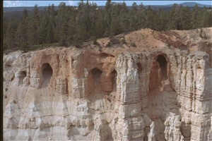 IMG0067.jpg