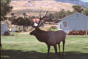 IMG0073.jpg