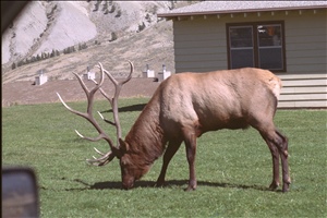 IMG0074.jpg