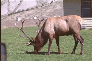 IMG0075.jpg