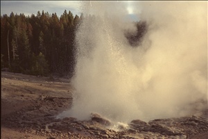 IMG0077.jpg