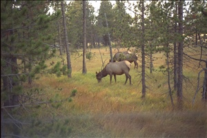 IMG0078.jpg