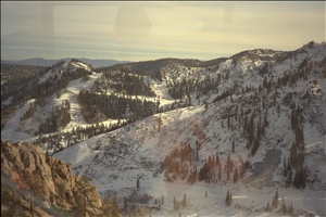 IMG0083.jpg