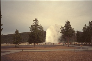 IMG0085.jpg