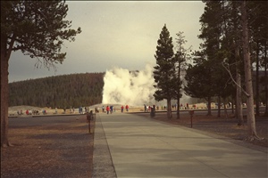 IMG0086.jpg