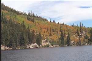 IMG0084.jpg