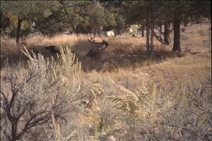 IMG0010.jpg