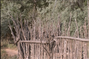 IMG0030.jpg