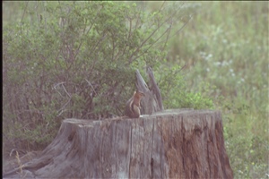 IMG0051.jpg