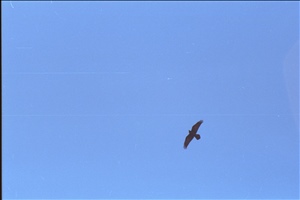 IMG0065.jpg