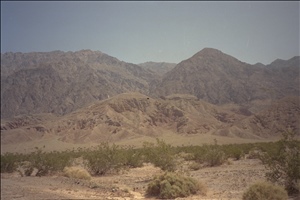 IMG0003.jpg