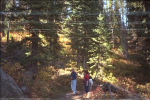 IMG0004.jpg