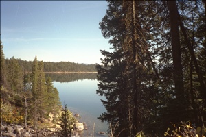 IMG0005.jpg