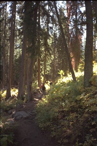 IMG0006.jpg