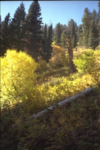 IMG0007.jpg