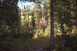 IMG0009.jpg