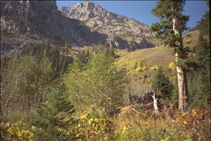 IMG0010.jpg