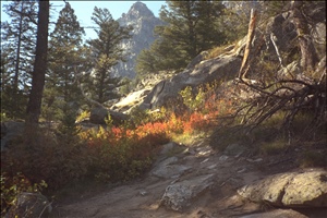 IMG0012.jpg