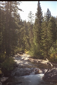 IMG0013.jpg