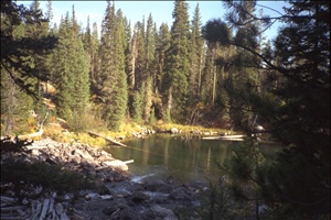 IMG0014.jpg