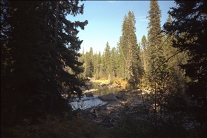 IMG0015.jpg