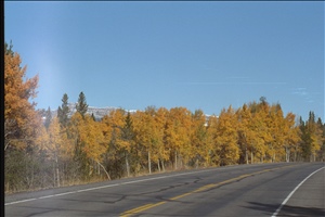 IMG0016.jpg